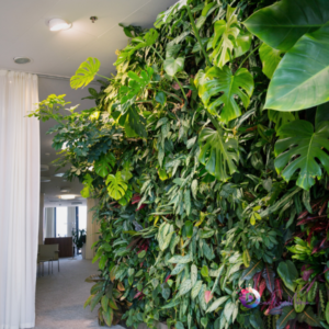 Dicas para Montar um Jardim Vertical em Ambientes Internos