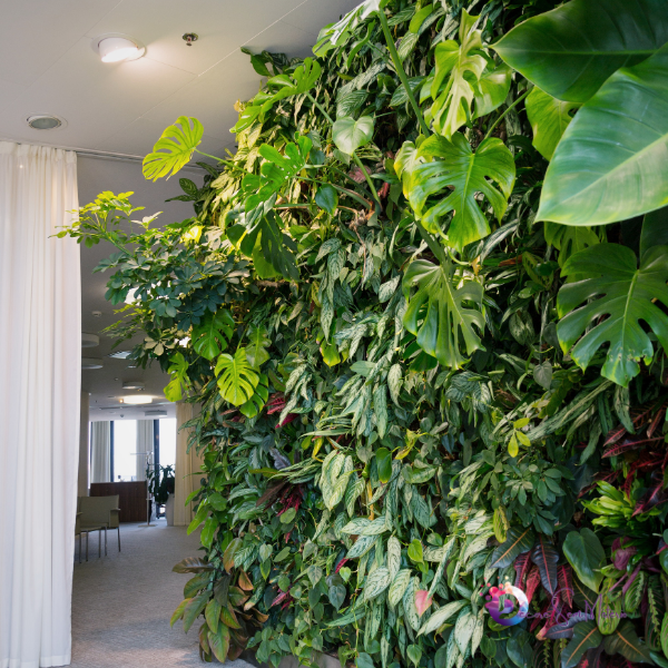 Dicas para Montar um Jardim Vertical em Ambientes Internos ...