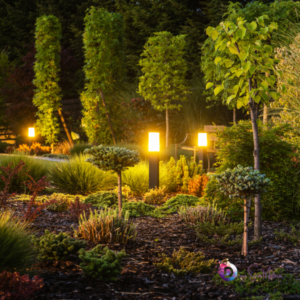 Ilumine Seu Jardim: Como Usar Luzes Decorativas para Valorizar Suas Plantas